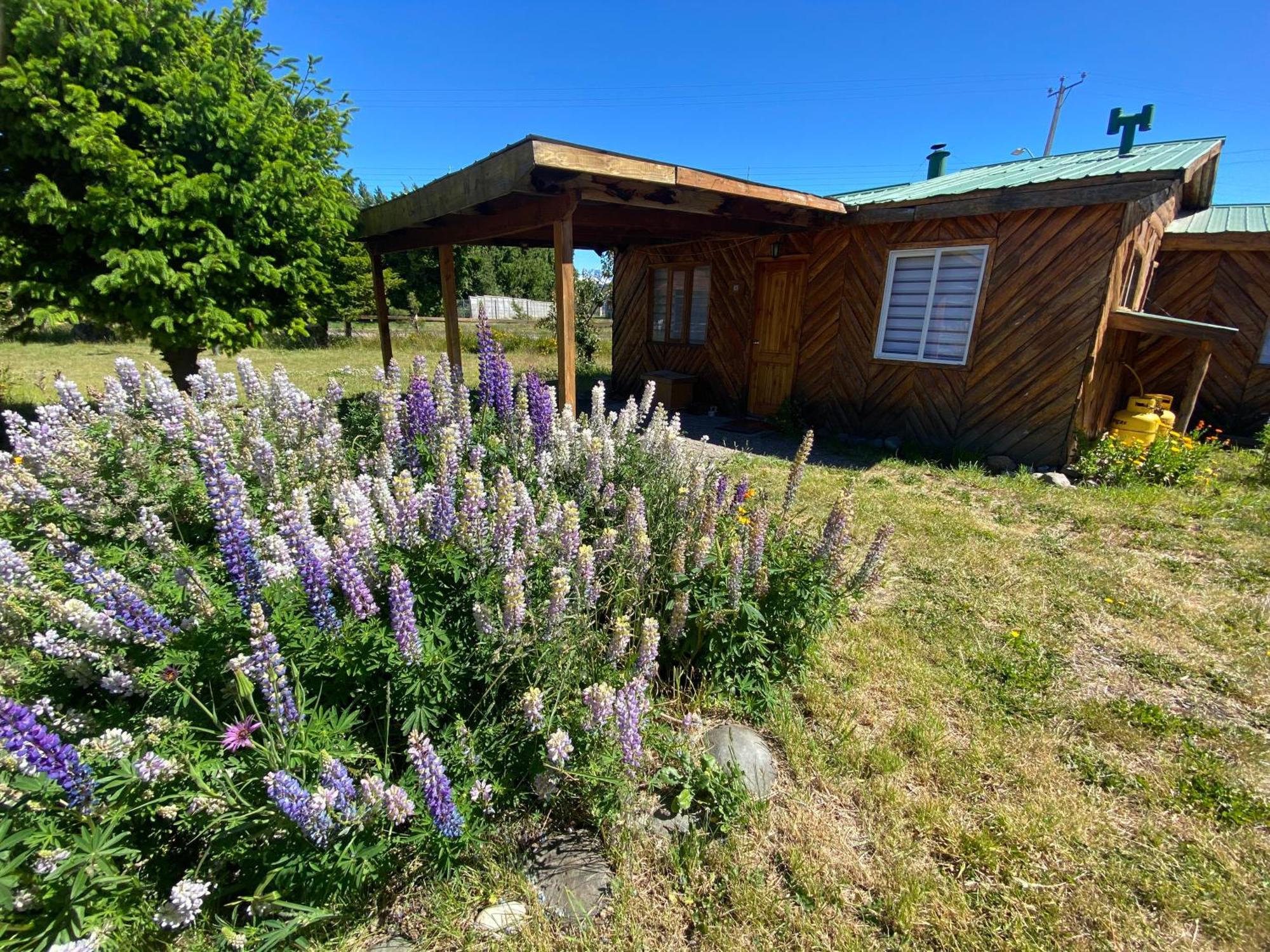 Patagonia Bordelago Puerto Ingeniero Ibanez Eksteriør billede